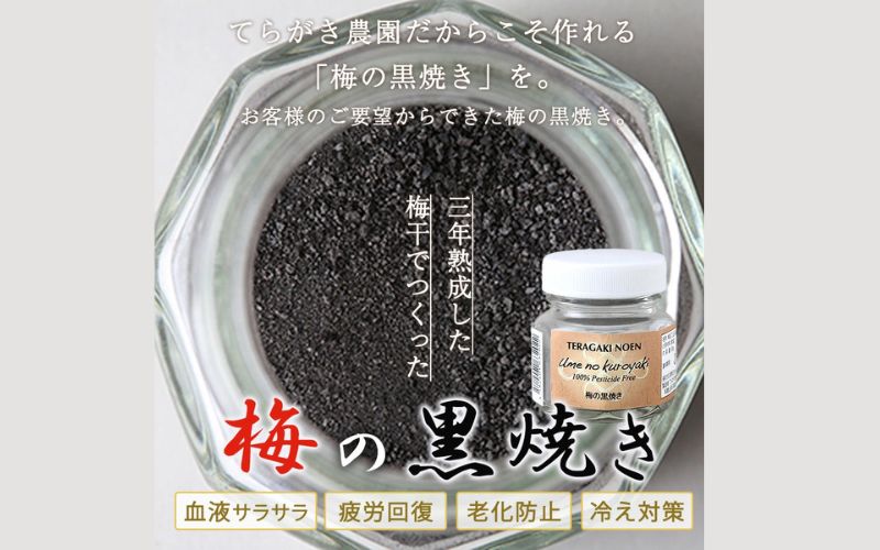梅の黒焼き 30g 南高梅使用 trgk004A【trgk004A】