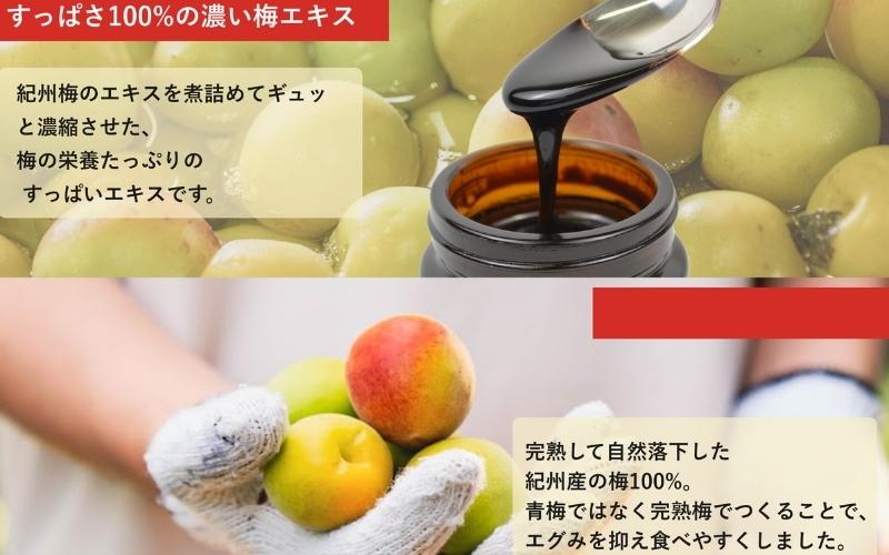 【梅ボーイズ】すっっぱい梅エキス 90g 【umehkr026】