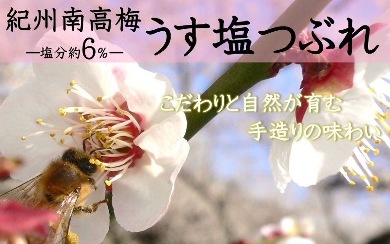ご家庭用 大容量 紀州南高梅 うす塩 つぶれ 塩分約6％ 700g×2 ［YM15m］ 【yamada002A】