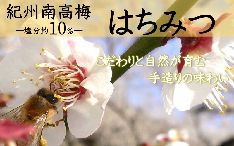 紀州南高梅 はちみつ 850g 塩分 約10％ 【yamada008A】