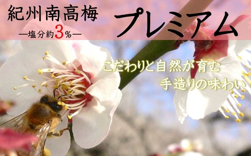 紀州南高梅 プレミアム 塩分約3％ 850g ［YM12m］ 【yamada011A】