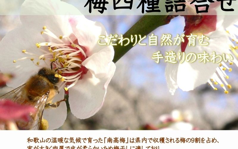 厳選 紀州南高梅 四種詰合せ 各200g×1 合計4箱 【yamada013A】