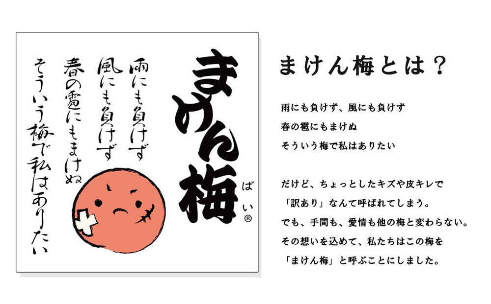 まけん梅(R) はちみつ漬 蜜宝梅 3kg(500g×6) 塩分約5％ 梅干し 紀州南高梅 nankiume003B