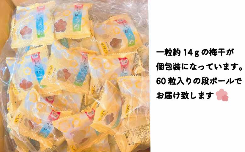はちみつ梅干　フレッシュ感そのまま個包装タイプ　14g(2L)×60粒　紀州南高梅　完熟うめ　塩分約5％ nankiume002A