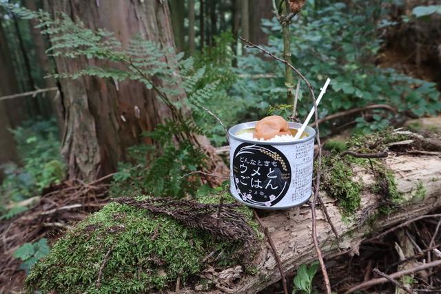 ウメ缶 どんなときもウメとごはん 12缶 | 【缶詰 防災】ngao009A