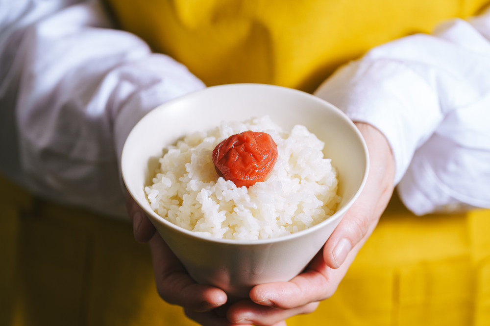 紀州南高梅 花のうめ（しそ漬け） 330g×2個 ngao014