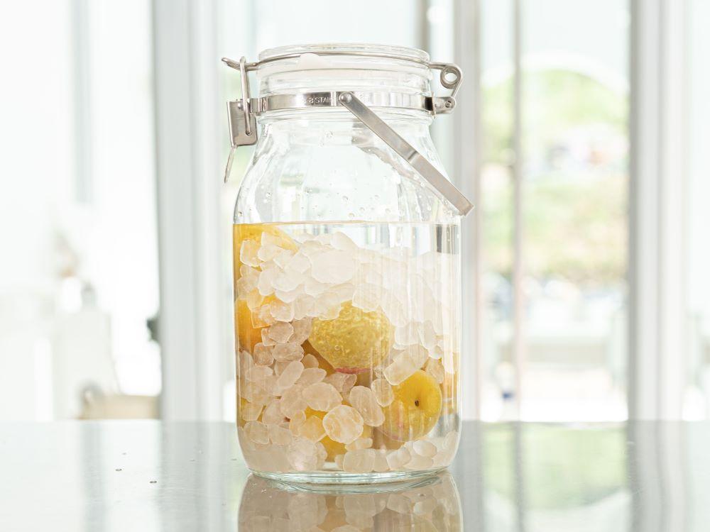 梅酒作成スタンダードキット（ウォッカベース）  umslabo007A