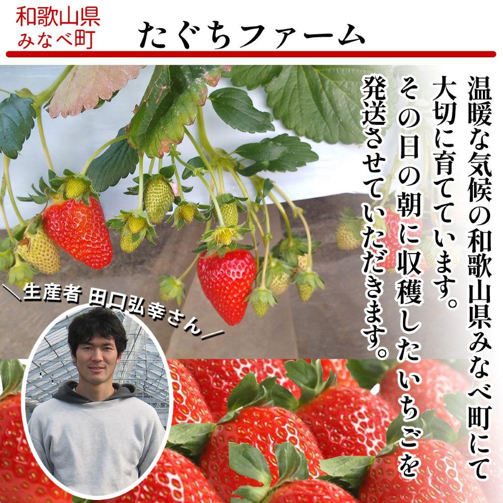 ［先行予約］いちご（まりひめ）レギュラーサイズ　1箱 tagfam001A