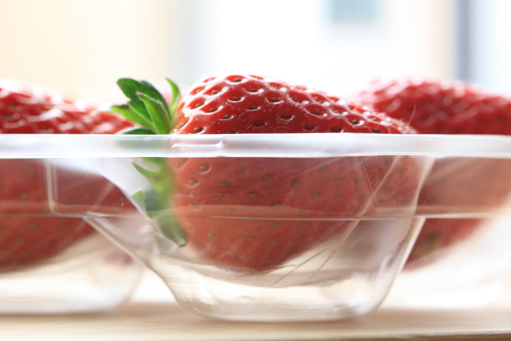 ［先行予約］いちご（まりひめ）ゆりかーご包装  ［2026年1月上旬から3月中旬にお届け］tagfam003A