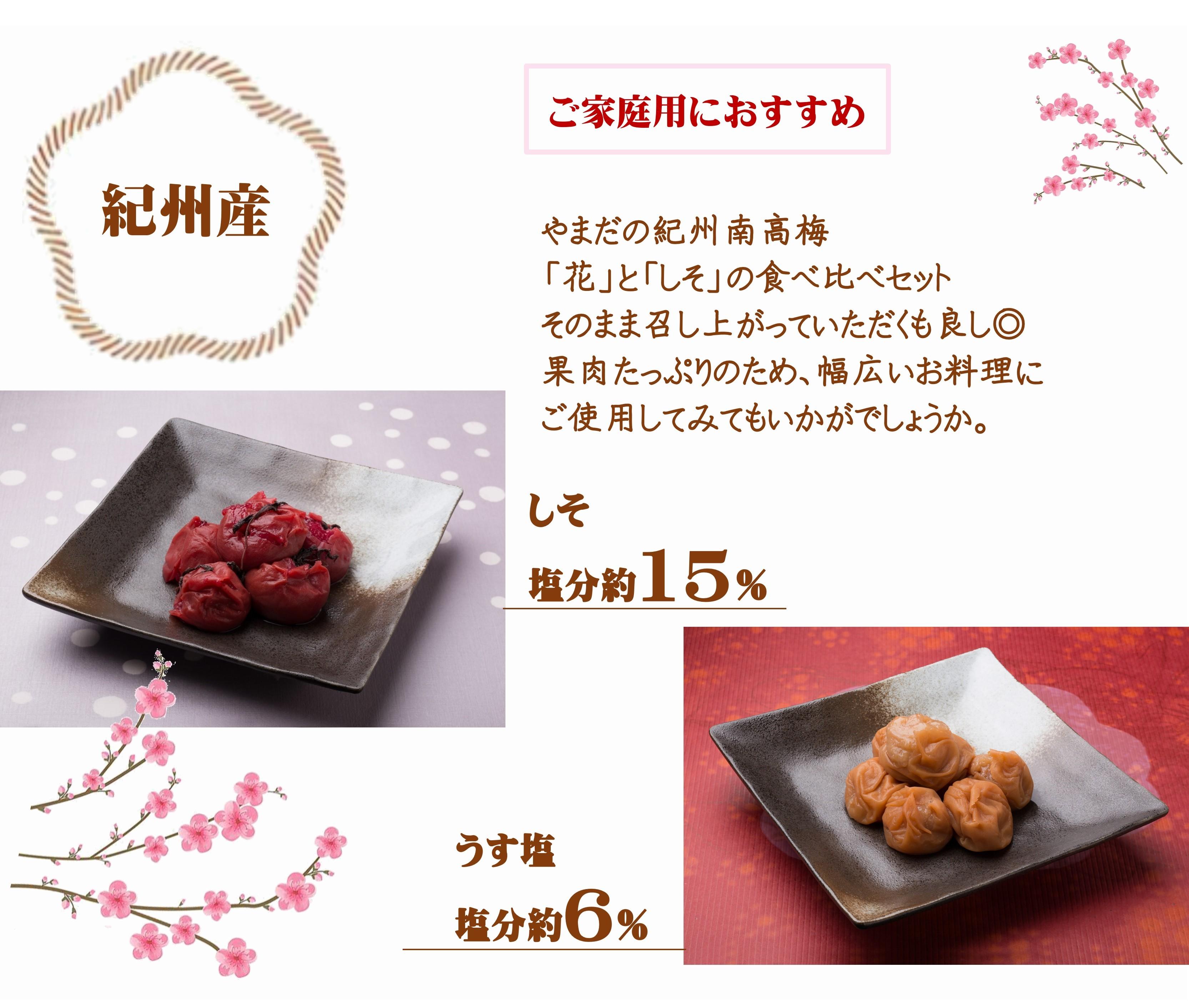 ご家庭用 大容量 紀州南高梅 つぶれ梅 うす塩としそ漬の詰合せ ［YM17m］ yamada007A