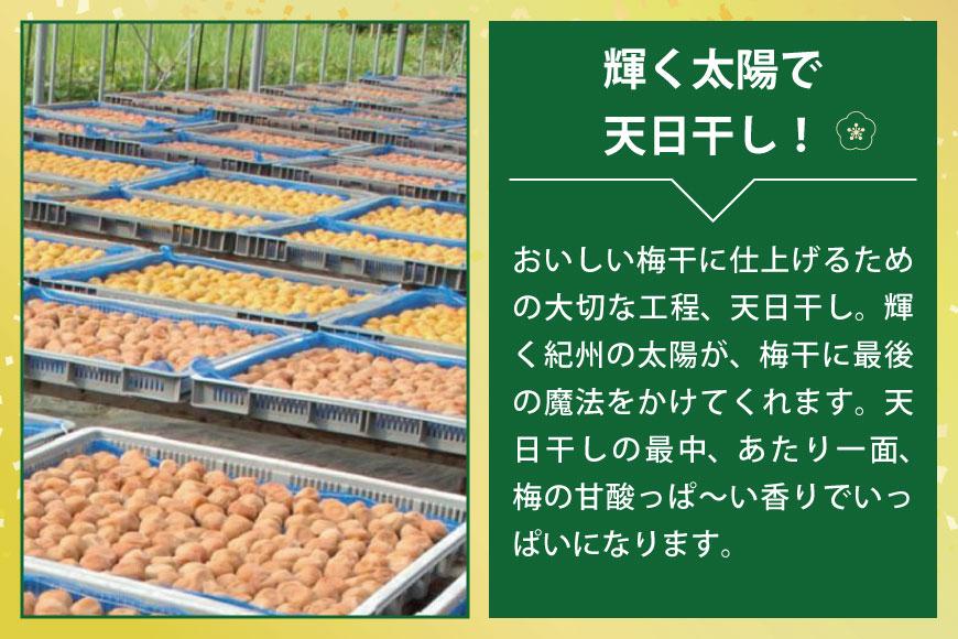 元祖はちみつ入梅干　黄金漬（1kg）umicbn002A