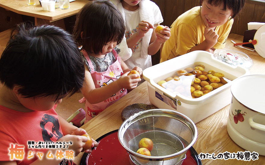 カラフル梅ジュース＆梅ジャムづくり体験チケット  iwasho004A
