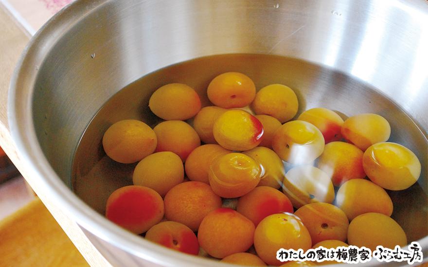 梅ジャムづくり体験ペアチケット iwasho010A