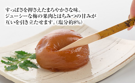 大粒の紀州南高梅 人気のはちみつ仕立て「極」10包 shokibai001B　［SB1］