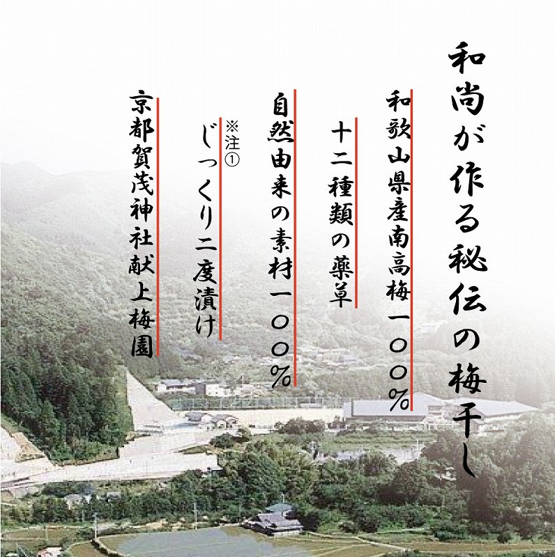 薬師梅【蜜(はちみつ味)】 yakushi002A