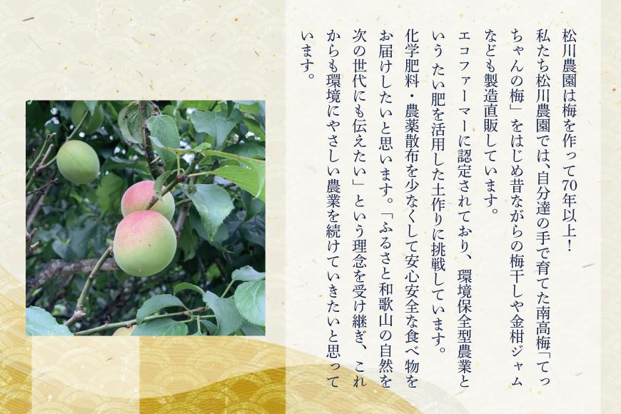 てっちゃんの梅(しそ漬け梅) matunou003A