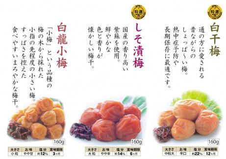 自家梅園産　完熟南高梅詰合せ「毎日梅ようび」　yokosho007A