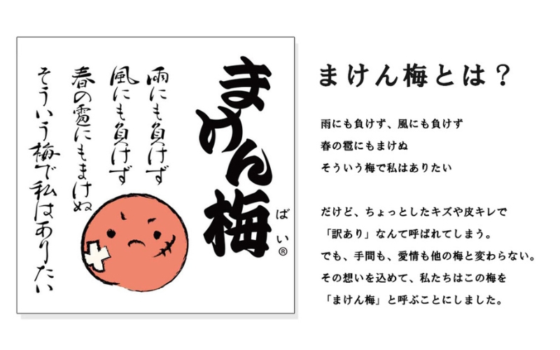 まけん梅(R) はちみつ漬 蜜宝梅 4kg(500g×8) 塩分約5％ 梅干し 紀州南高梅 【nankiume004B】