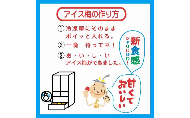 紀州産南高梅紀州アイス梅 9粒入り tnht001A【tnht001A】