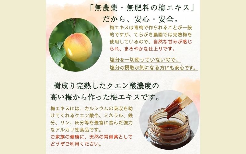 完熟梅エキス 50g 南高梅使用 trgk002A【trgk002A】