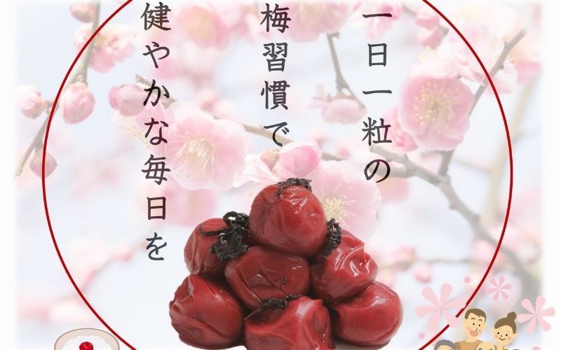 紀州南高梅 しそ 塩分約15％ 850g  【yamada003A】