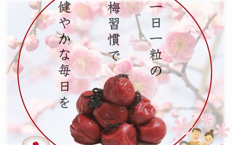 紀州南高梅 しそプレミアム塩分約6％ 850g ［YM14m］ 【yamada005A】