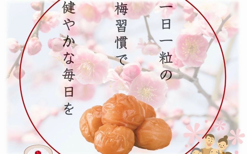 紀州南高梅 プレミアム 塩分約3％ 850g ［YM12m］ 【yamada011A】