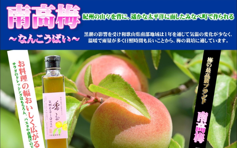 香るumesio調味料　150ml×8本　【yplu008A】