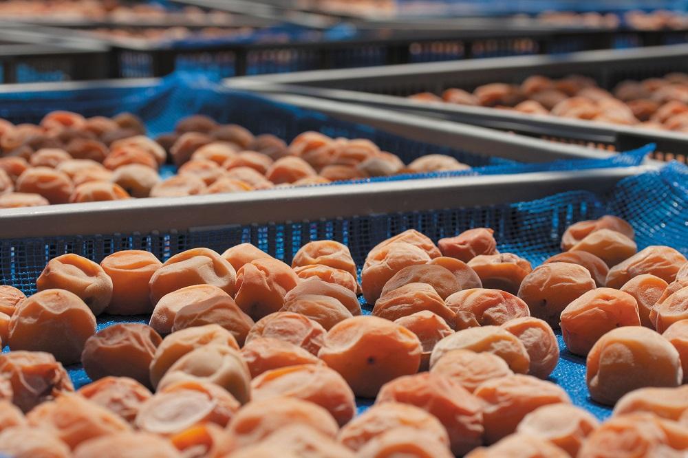 はちみつ梅 梅干し 紀州南高梅 大粒 みつ大玉 800g（塩分8％） 高級　mryms001A