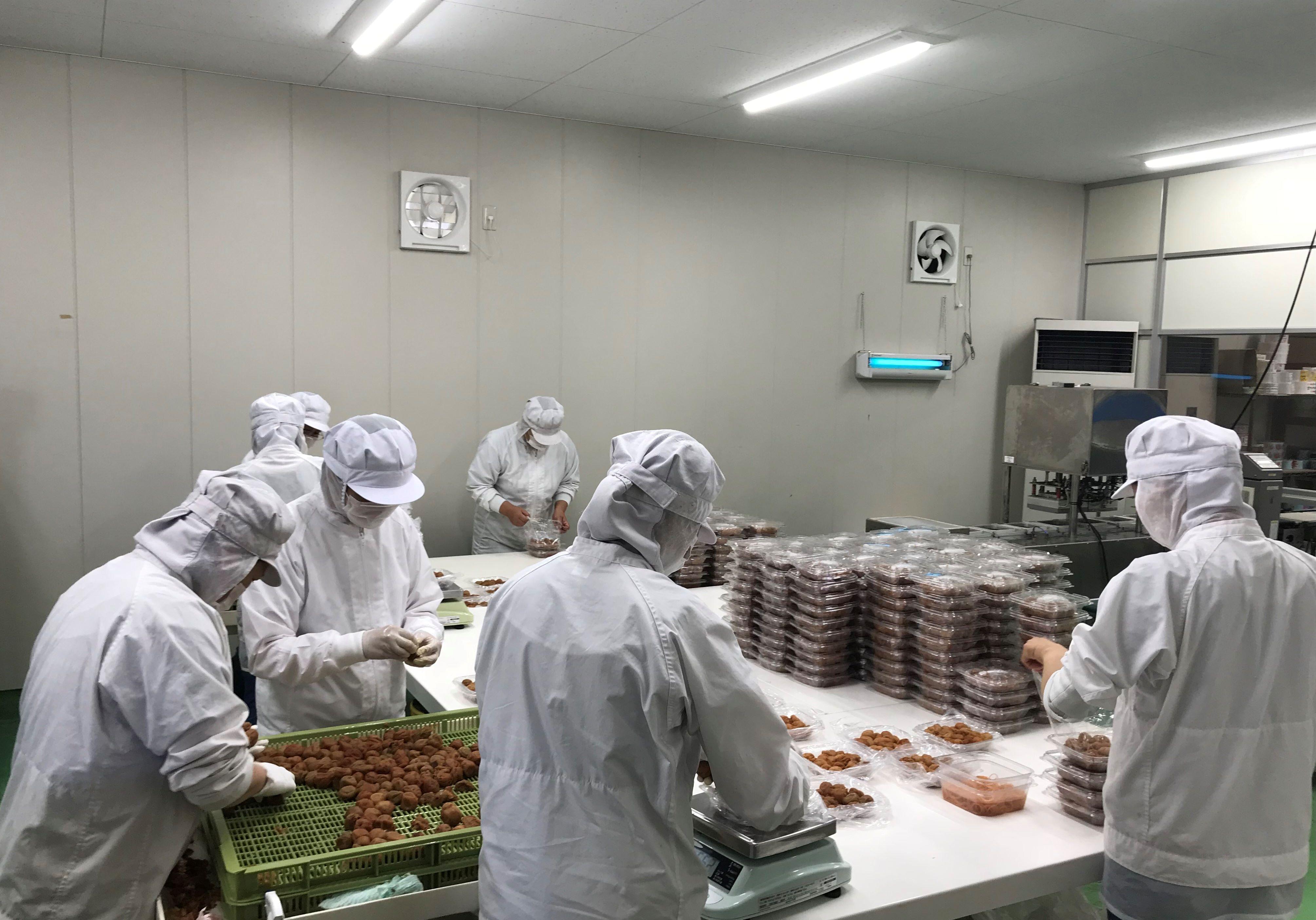 【塩分約8％】和歌山紀州南高梅 つぶれ梅 はちみつ漬け 訳あり 800g agrjpn002A