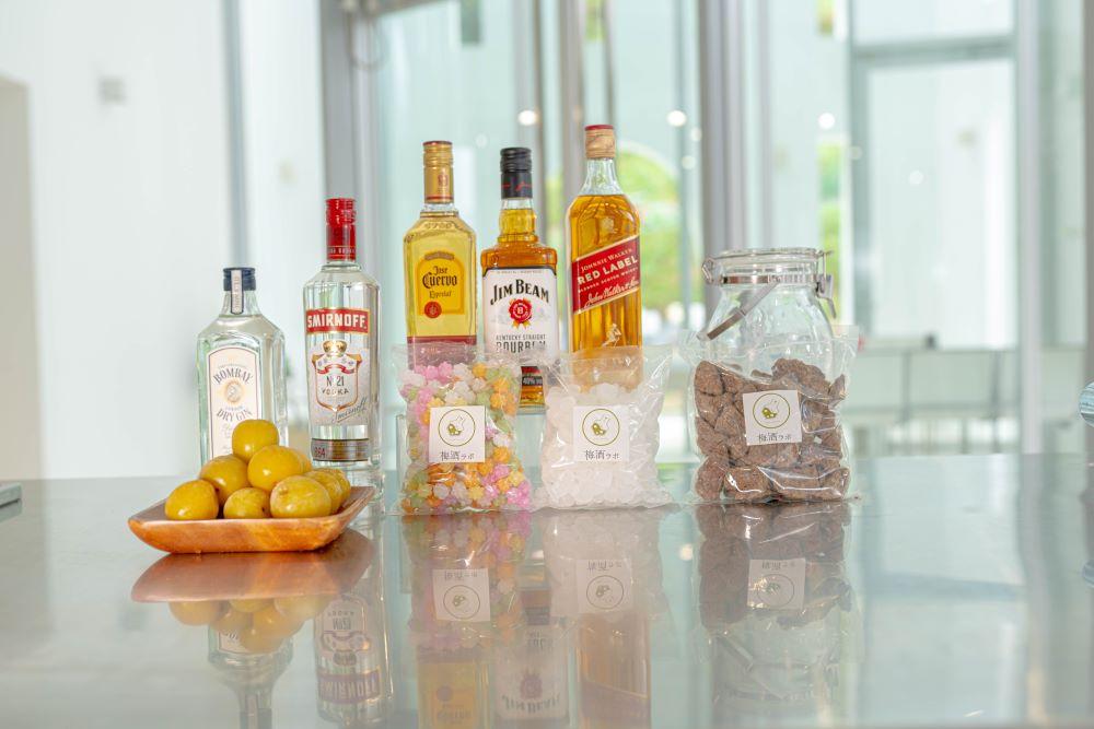 梅酒作成スタンダードキット（ウイスキーベース）umslabo006A