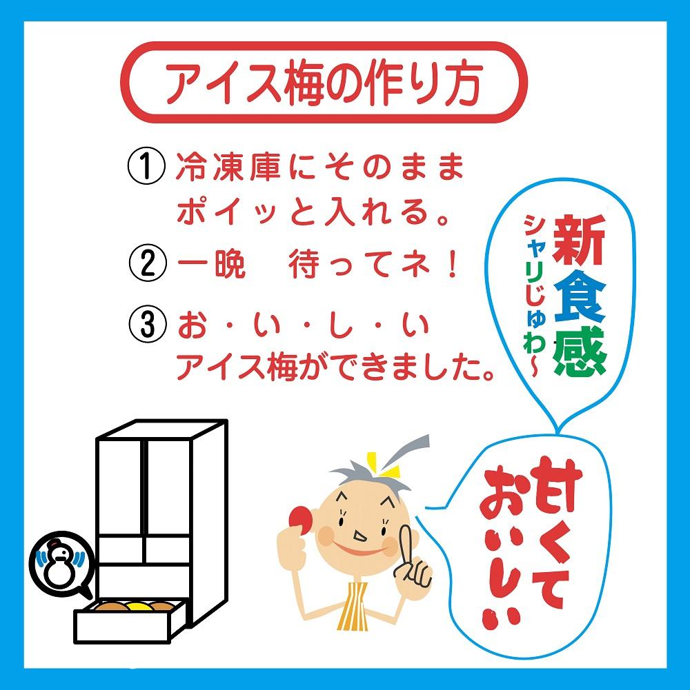 紀州産南高梅紀州アイス梅 9粒入り tnht001A