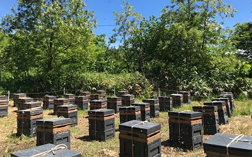 百花蜂蜜（約200g×1、約550g×1） nkmryoho002A