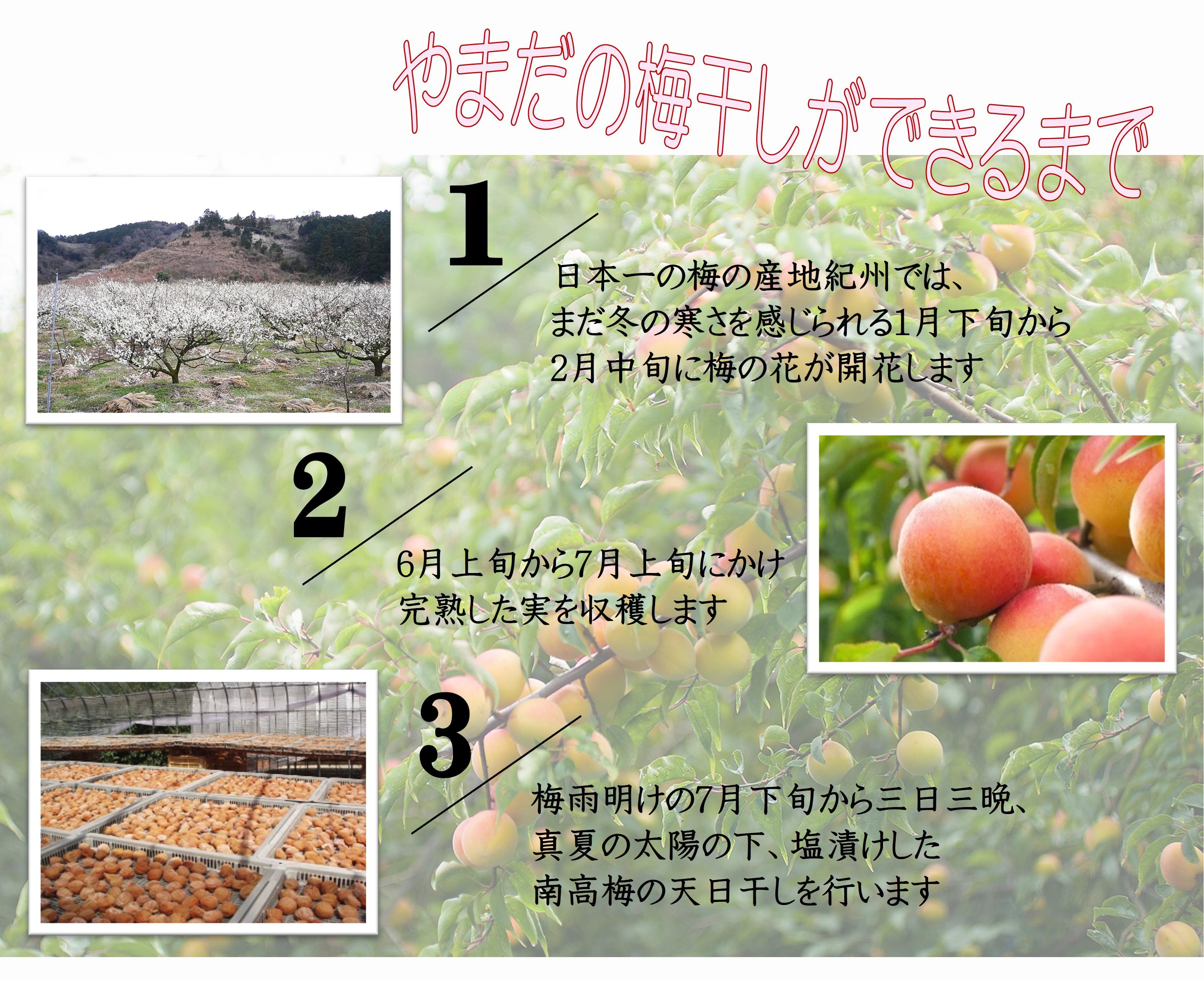 紀州南高梅 「花」 塩分約6％ 850g ［YM8m］ yamada001A
