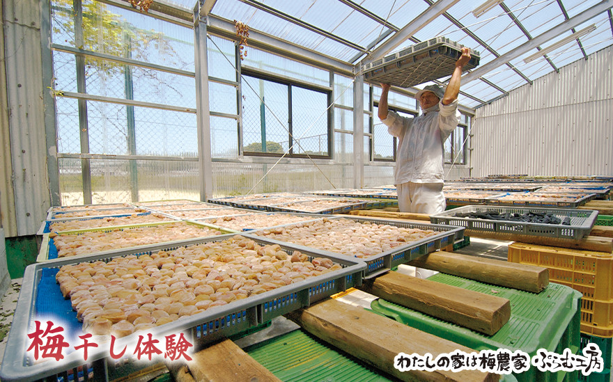 カフェドマンマ食事券1500円分＆梅干し作業体験チケット  iwasho008A