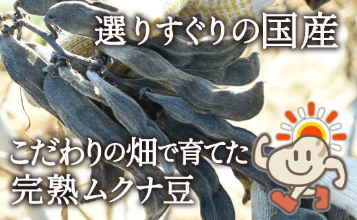 八升豆[国産ムクナ豆]粉末 300g×１袋【老舗生薬屋の八升豆】 hoso013A