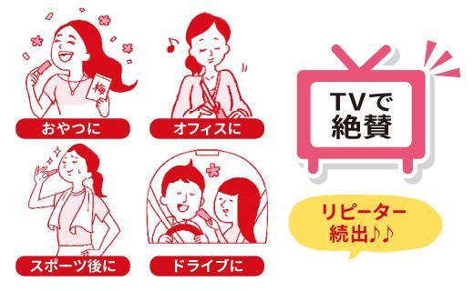紀州梅札 14g×30袋　梅づくり100年「紀州ほそ川」の梅お菓子　hoso005A