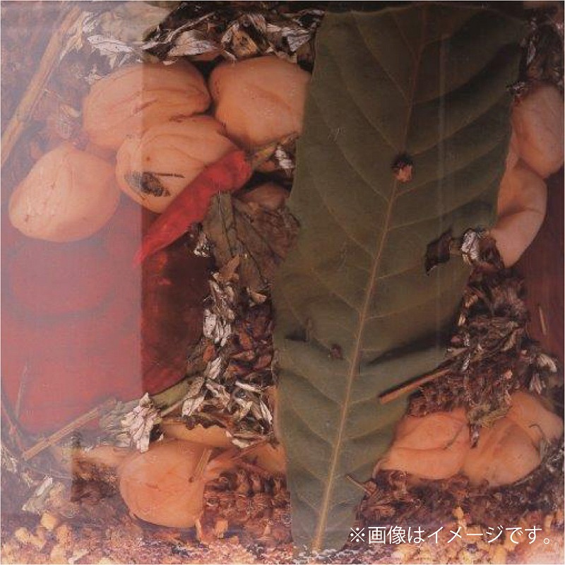 薬師梅【蜜(はちみつ味)】 yakushi002A