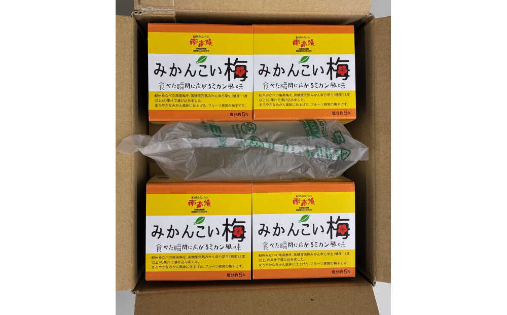 みかんこい梅　yplu005C