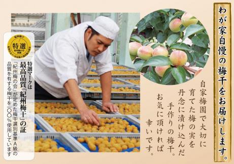 自家梅園産　完熟南高梅詰合せ「毎日梅ようび」　yokosho007A