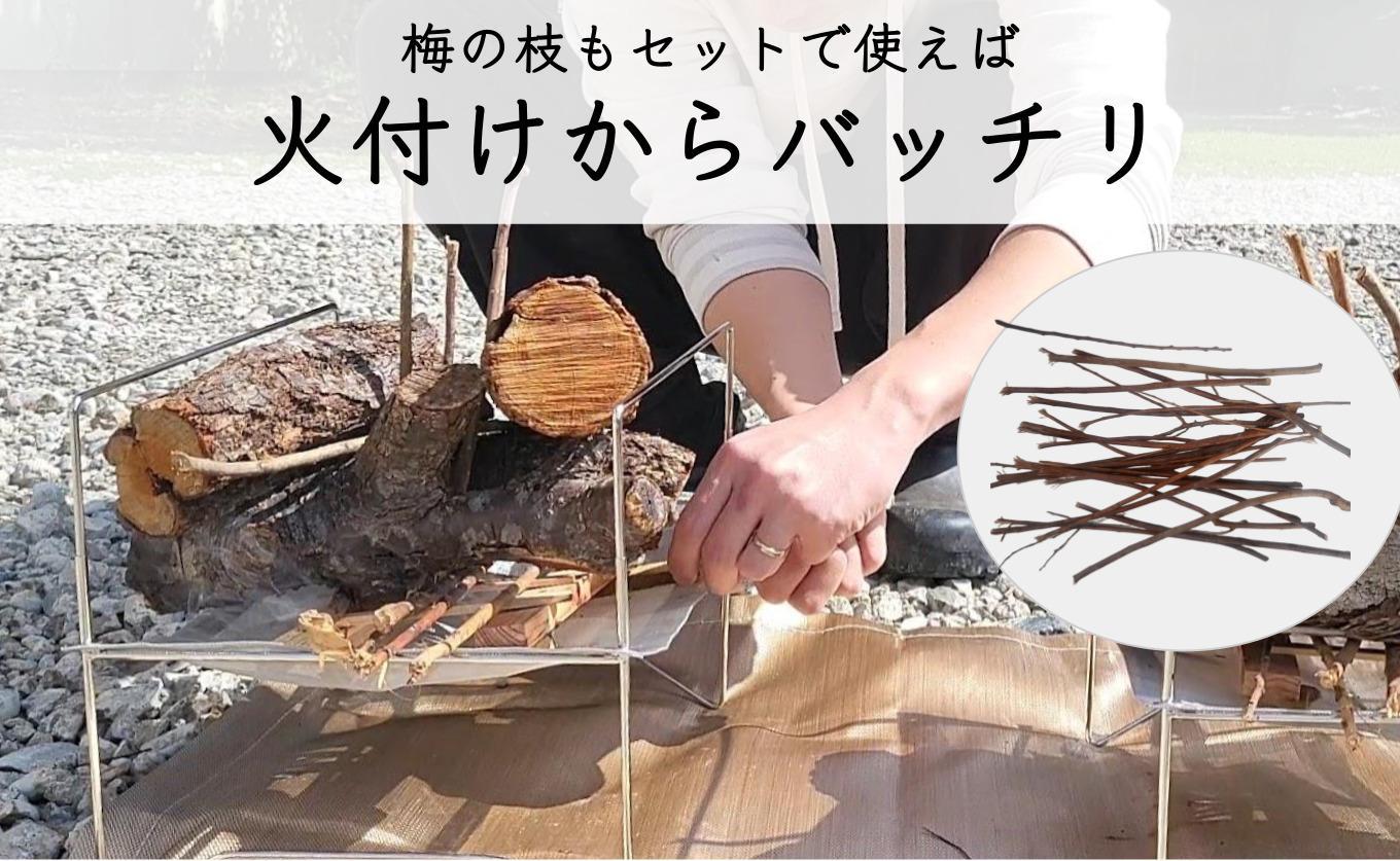 【定期便 毎月発送・全3回 】梅の薪 約14kg×3回 梅ボーイズ 広葉樹【 広葉樹トップ級の火持ち】umehkr017A