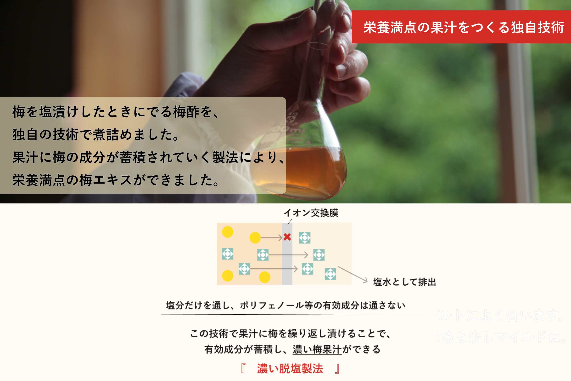 【梅ボーイズ】すっっぱい梅エキス 90g umehkr026