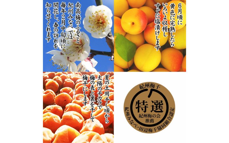 紀州産南高梅紀州アイス梅 9粒入り tnht001A【tnht001A】
