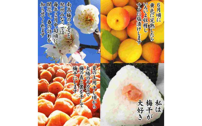 紀州産南高梅 つぶれ梅 はちみつ味 減塩1.5% 270g  3個入り tnht005A【tnht005A】