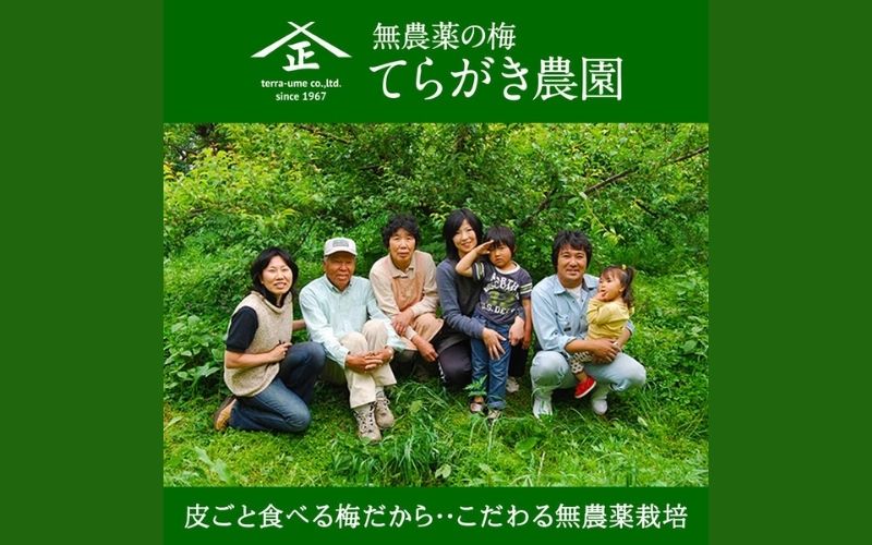 完熟梅エキス 50g 南高梅使用 trgk002A【trgk002A】