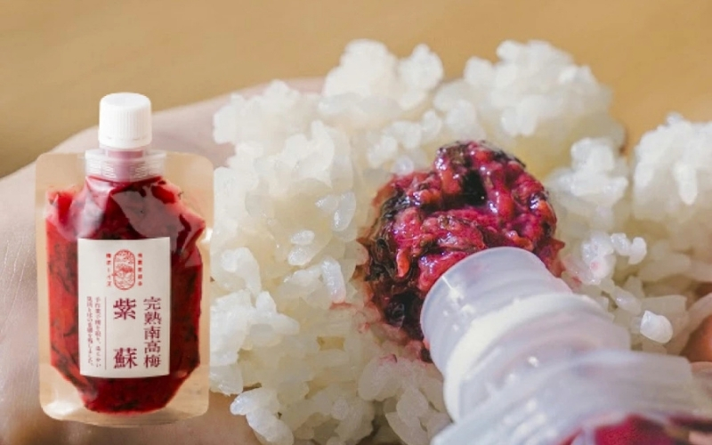 【身体を想う無添加ギフト】紀州南高梅 人気の梅干し詰め合わせ 梅ボーイズ　【umehkr012A】