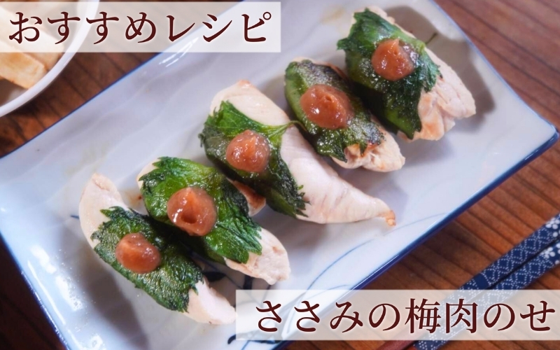 【梅ボーイズ】無添加 紀州南高梅の梅チューブ6本セット（塩・紫蘇）天日塩使用 【umehkr021】