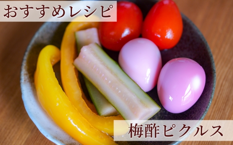 【梅ボーイズ】無添加 紀州南高梅の梅酢6本セット（白・紫蘇）天日塩使用 【umehkr024】