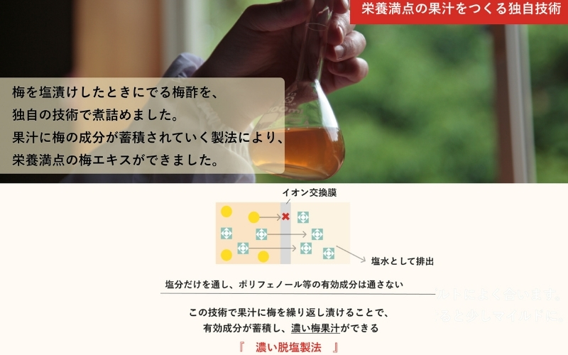 【梅ボーイズ】すっっぱい梅エキス 90g 【umehkr026】