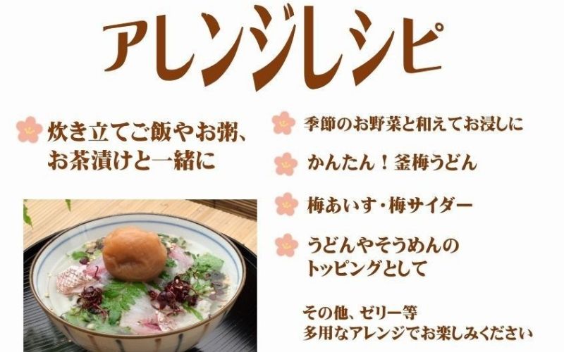 ご家庭用 大容量 紀州南高梅 つぶれ梅 うす塩としそ漬の詰合せ ［YM17m］ 【yamada007A】